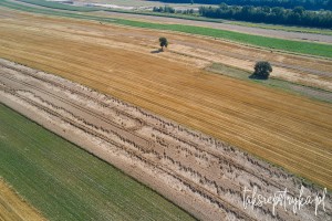 Bele dron 2020 1 11