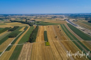 Bele dron 2020 1 12