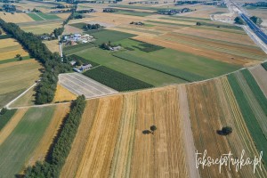 Bele dron 2020 1 14