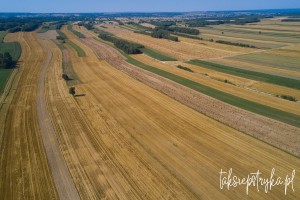Bele dron 2020 1 18