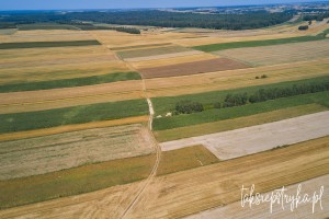 Bele dron 2020 1 22