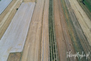 Bele dron 2020 1 24
