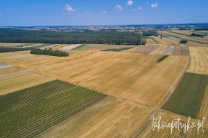 Bele dron 2020 1 25