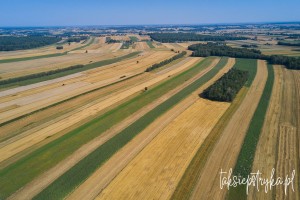 Bele dron 2020 1 8