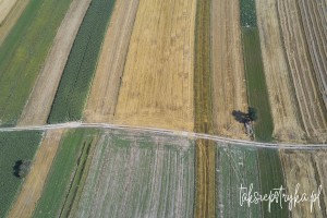 Bele dron 2020 2 6