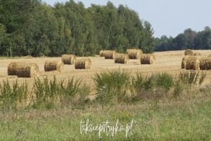 Bele za Piaskami taksiepstryka 2