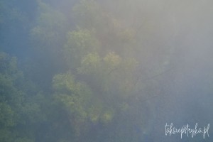Mgly paz 01 2021  2