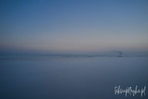 Mgly paz 01 2021  6