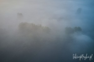 Mgly paz 01 2021  20