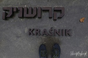belzec krasnik 17