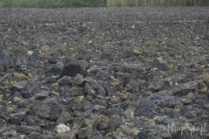 belzec krasnik 20